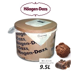 Image of Häagen-Dazs Belgian Chocolate Ice Cream 9.5L/Tub(sold per tub) Imported from France GBA P.Code: HD6007 from Supplybunny.com