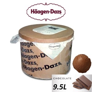 Image of Häagen-Dazs Chocolate Ice Cream 9.5L/Tub(sold per tub) Imported from France GBA P.Code: HD6001 from Supplybunny.com