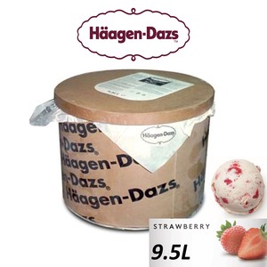Image of Häagen-Dazs Strawberry Ice Cream 9.5L/Tub(sold per tub) Imported from France GBA P.Code: HD6016 from Supplybunny.com