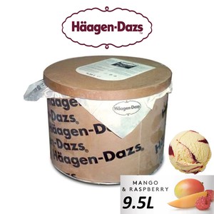 Image of Häagen-Dazs Mango & Raspberry Ice Cream 9.5L/Tub (sold per tub) Imported from France GBA P.Code: HD6012 from Supplybunny.com