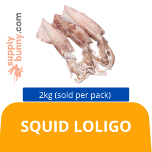 Image of Squid Loligo 8"-10" 2kg (sold per pack) from Supplybunny.com