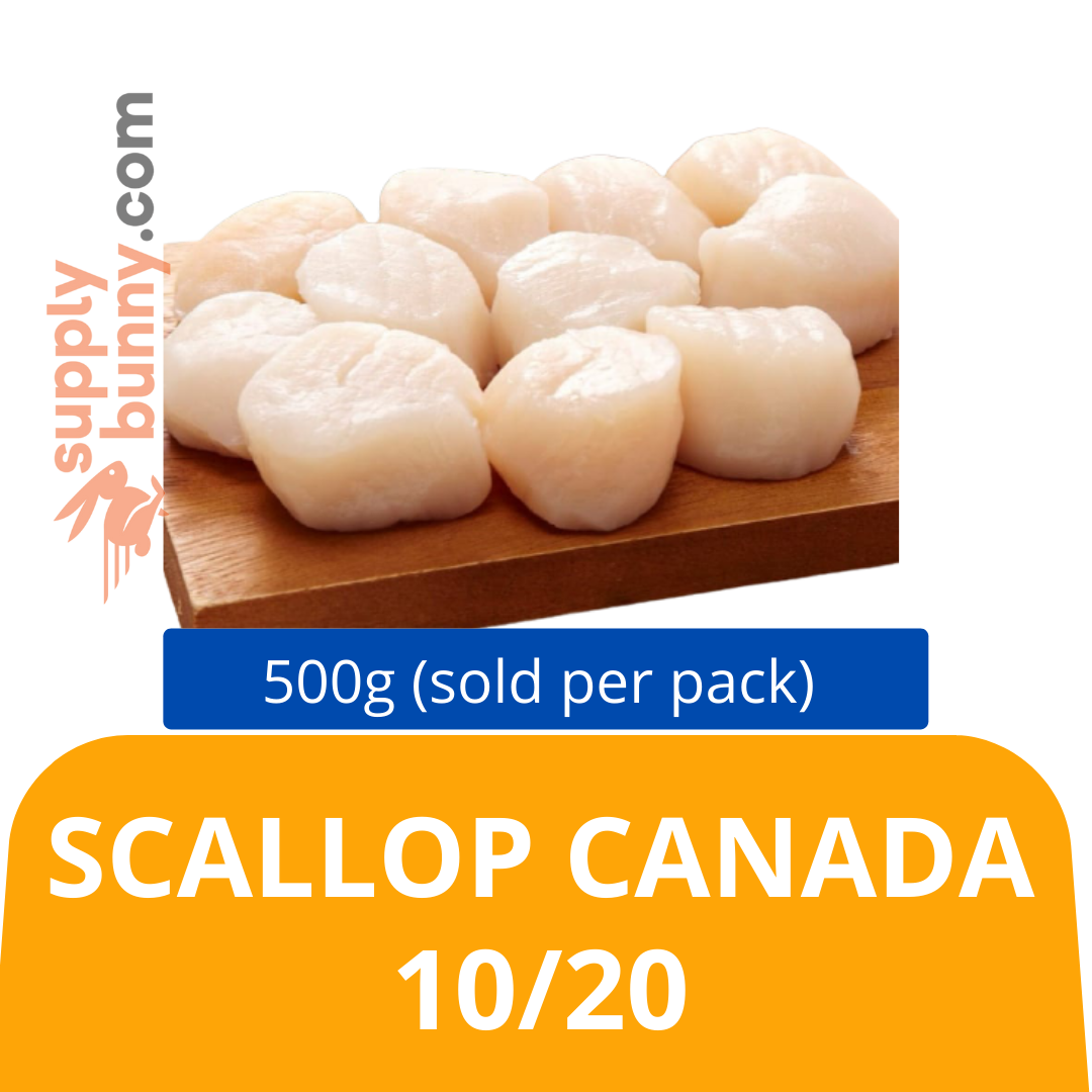 Scallop Canada 10/20 500g (sold per pack) 扇贝AS Fresh & Frozen Scallop