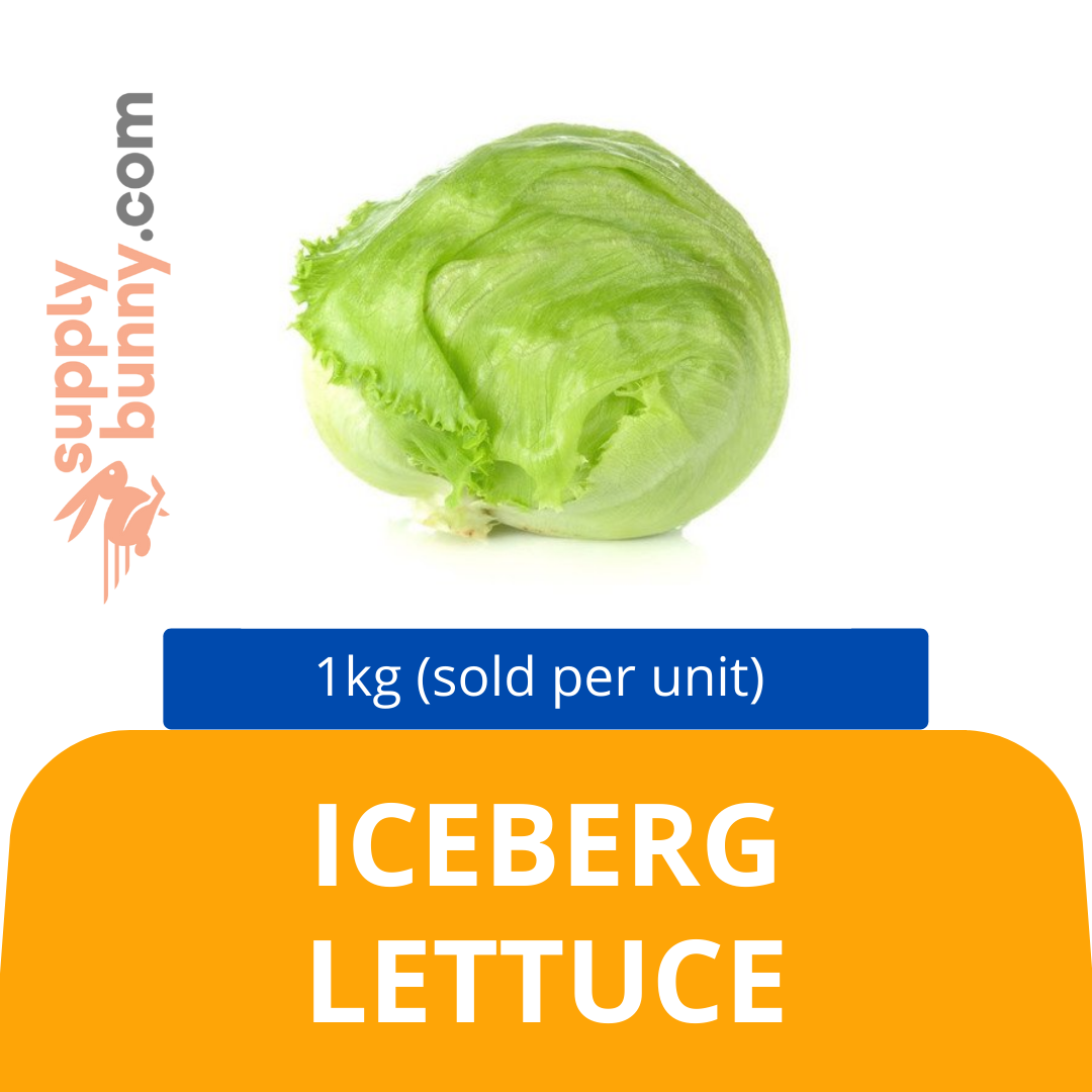 Lettuce Iceberg 1kg (sold per kg) Alcofresh — HORECA Suppliers