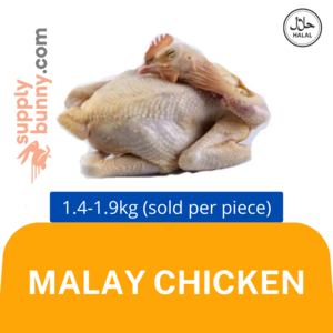 Image of Whole Malay Chicken 1.4kg-1.9kg±/pc (sold per nos) Ayam Malayu from Supplybunny.com