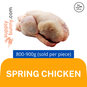 Image of Whole Spring Chicken 800g-900g±/pc (sold per pcs) Ayam Muda from Supplybunny.com