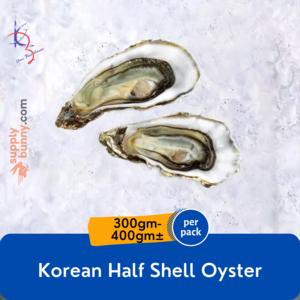 Image of Korean Half Shell Oyster 5pcs (300g-400g) (sold per pack) from Supplybunny.com