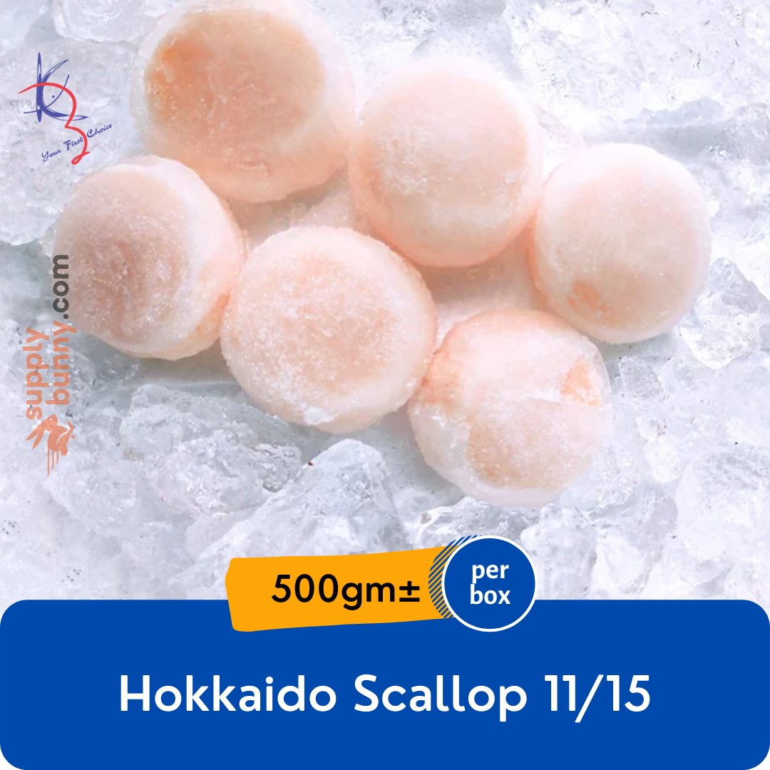 Hokkaido Scallop 11/15 500g (sold per box) — HORECA Suppliers Supplybunny