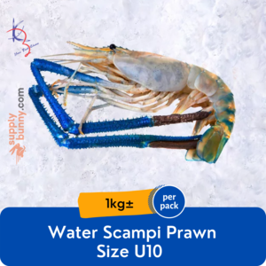 Water Scampi Prawn U10 5 6 Sold Per Kg Kaizer Frozen Seafood Horeca Suppliers Supplybunny