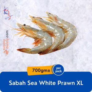 Image of Sabah Sea White Prawn XL 10-14pcs 700g (sold per pack) from Supplybunny.com