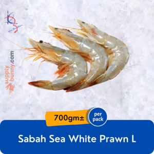 Image of Sabah Sea White Prawn L 15-20pcs 700g (sold per pack) from Supplybunny.com