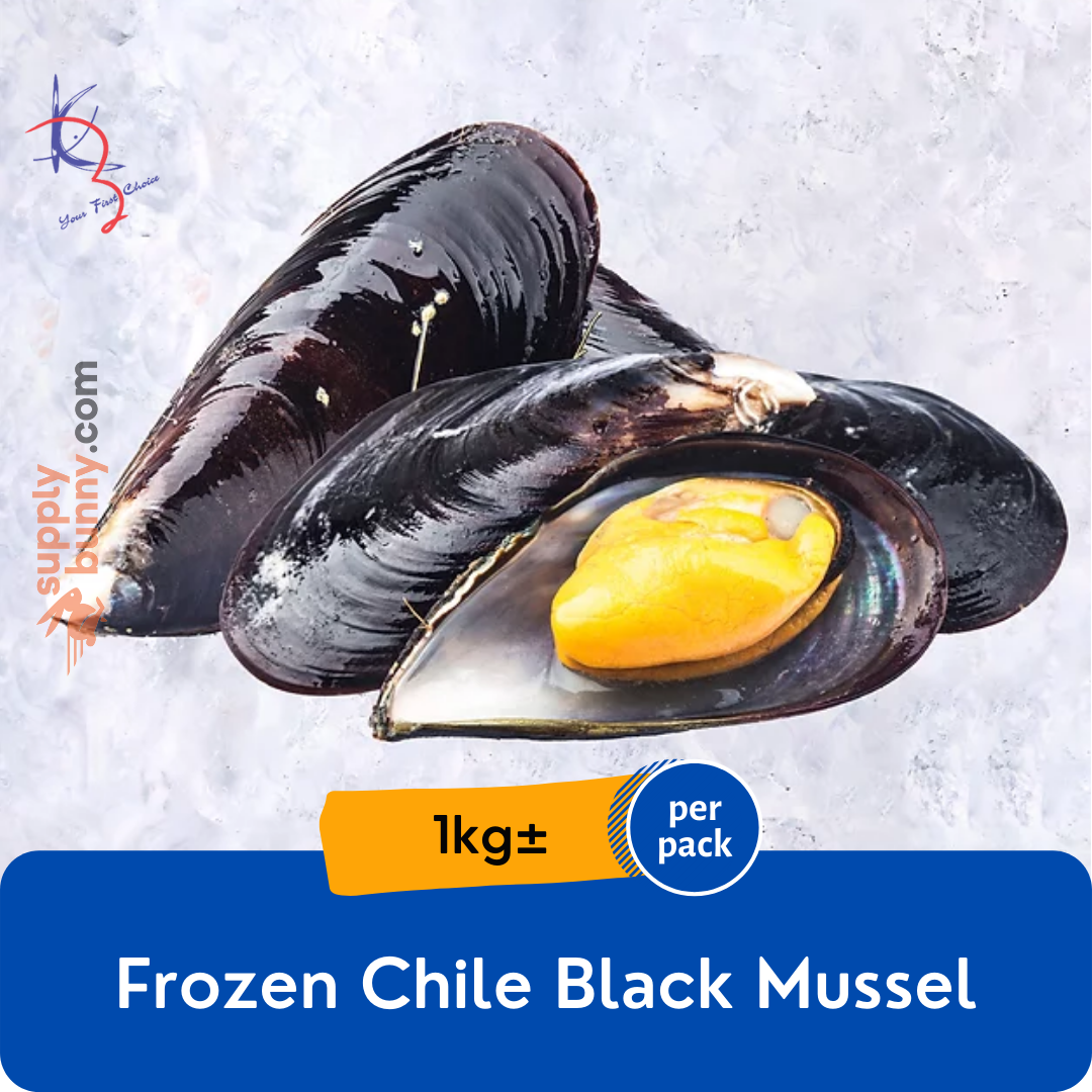 Chile Black Mussel 1kg (sold per pack) 智利黑豪 Kupang Hitam Kaizer