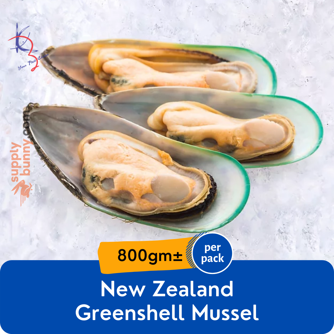 New Zealand Greenshell Mussel (Half Shell) 800g (sold per box) — HORECA
