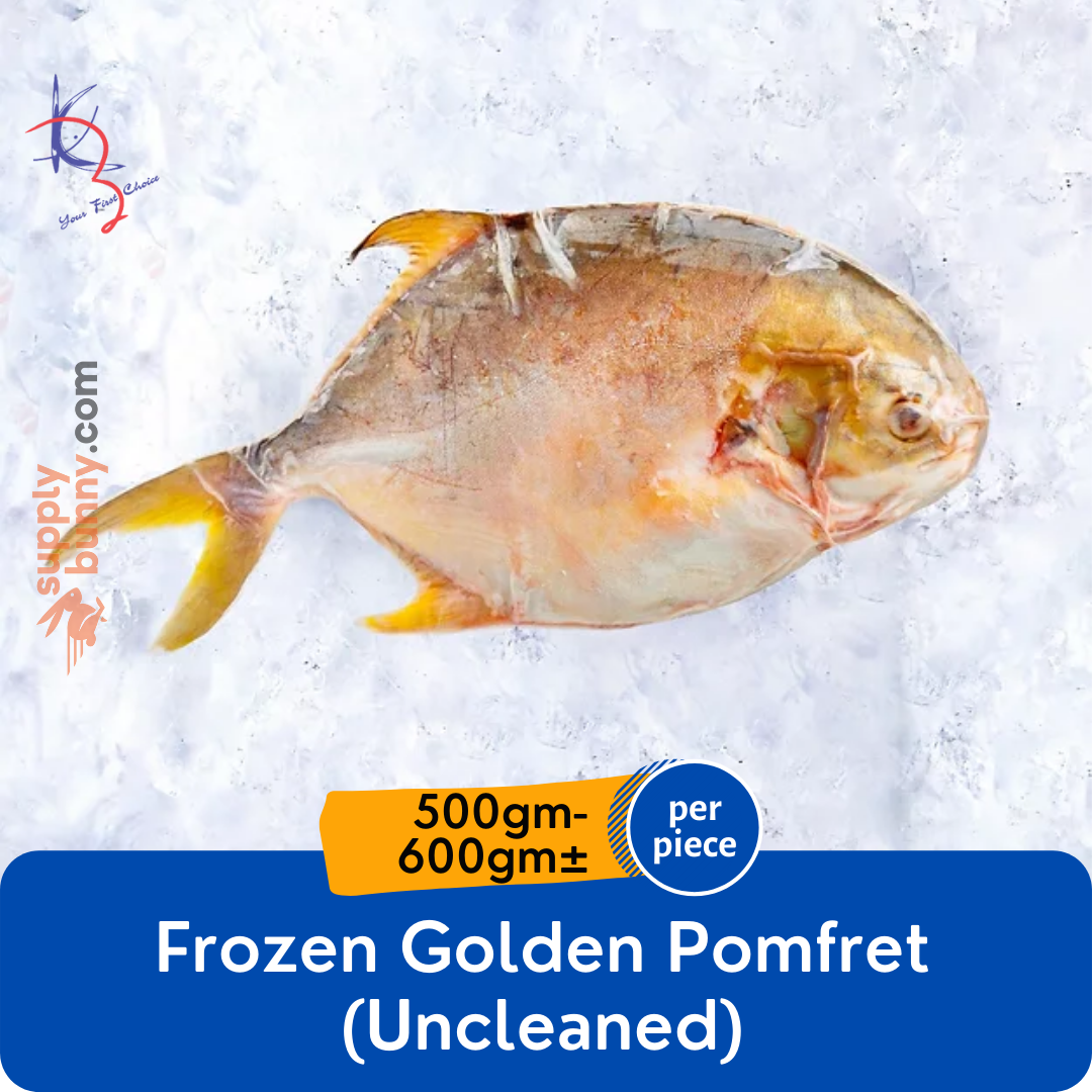 Frozen Golden Pomfret Uncleaned (500g600g) (sold per piece) — HORECA