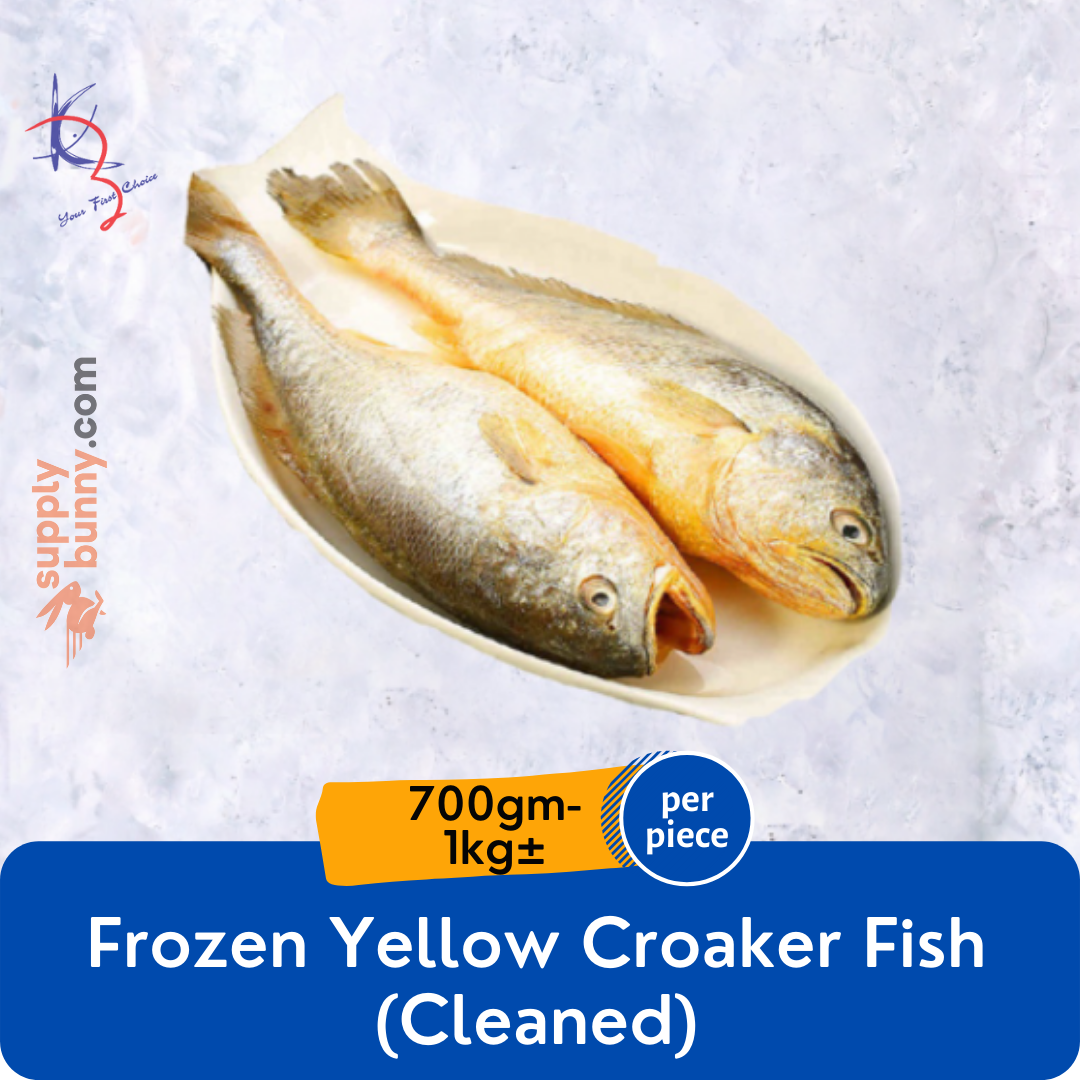 Frozen Yellow Croaker Fish Cleaned (700g1kg) (sold per piece) — HORECA