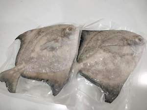 Image of Chinese Pomfret 500-600g (sold per Piece) from Supplybunny.com