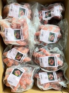 Image of IQF Cooked Octopus (Tako) 1kg+/- (Sold per pack) from Supplybunny.com