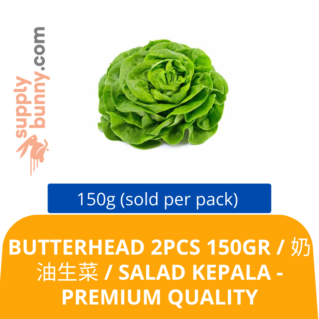 Butterhead 2pcs 150gr / 奶油生菜 / Salad Kepala Premium quality — HORECA Suppliers Supplybunny