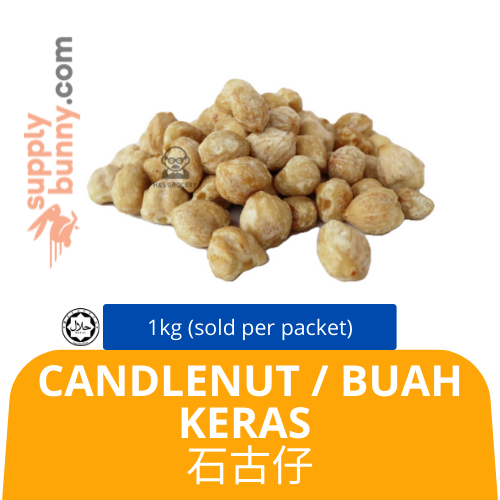 Candlenut 1kg (sold per packet) Buah Keras — HORECA Suppliers Supplybunny