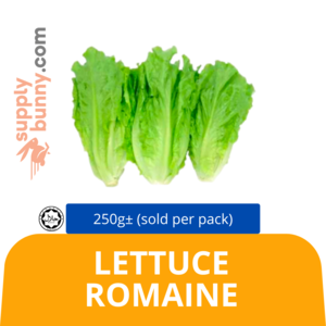 Image of Lettuce Romaine 250g± (sold per pack) from Supplybunny.com