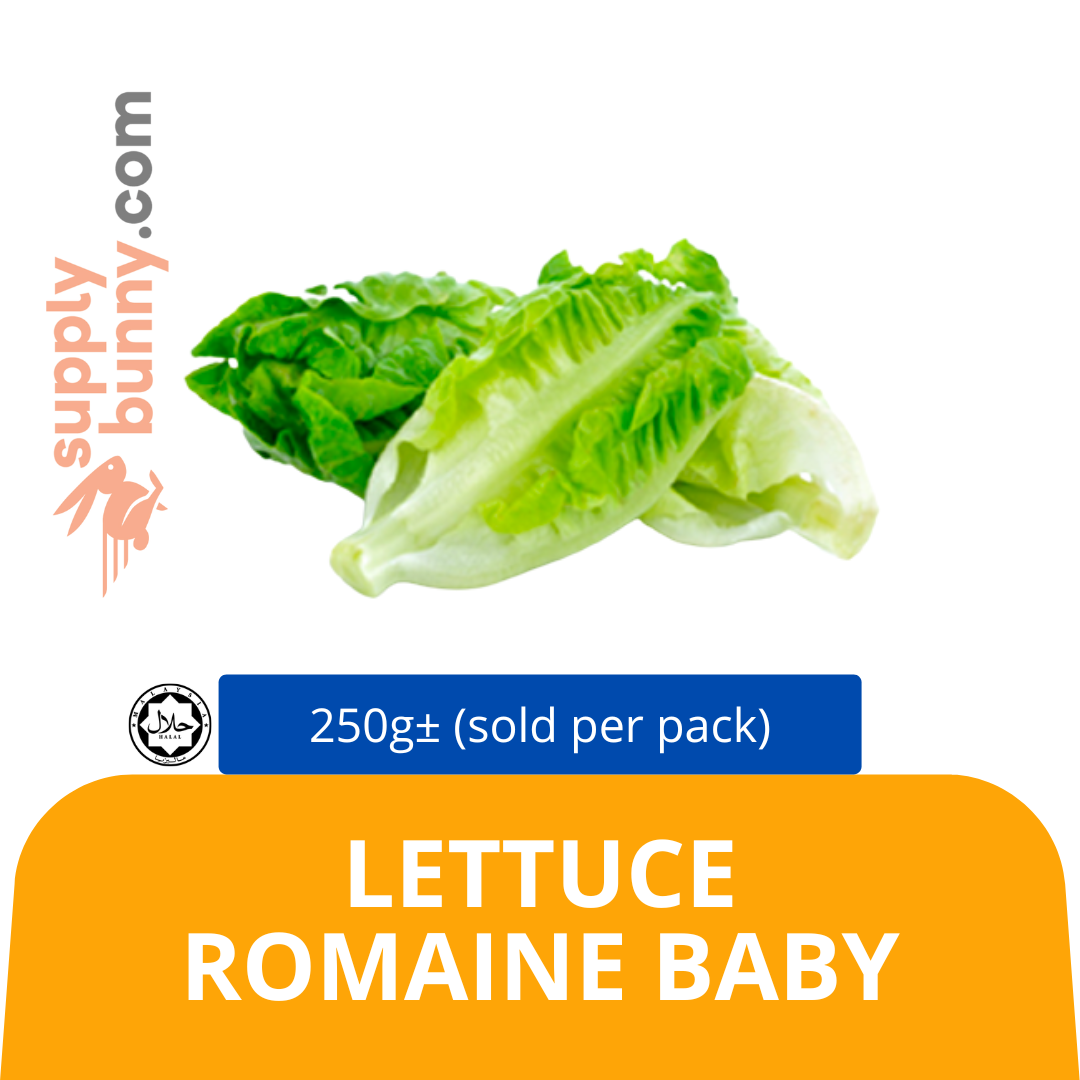 Lettuce Romaine Baby 250g± (sold per pack) — HORECA Suppliers Supplybunny