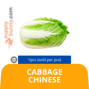Image of Cabbage Chinese 1pcs (sold per pcs) from Supplybunny.com