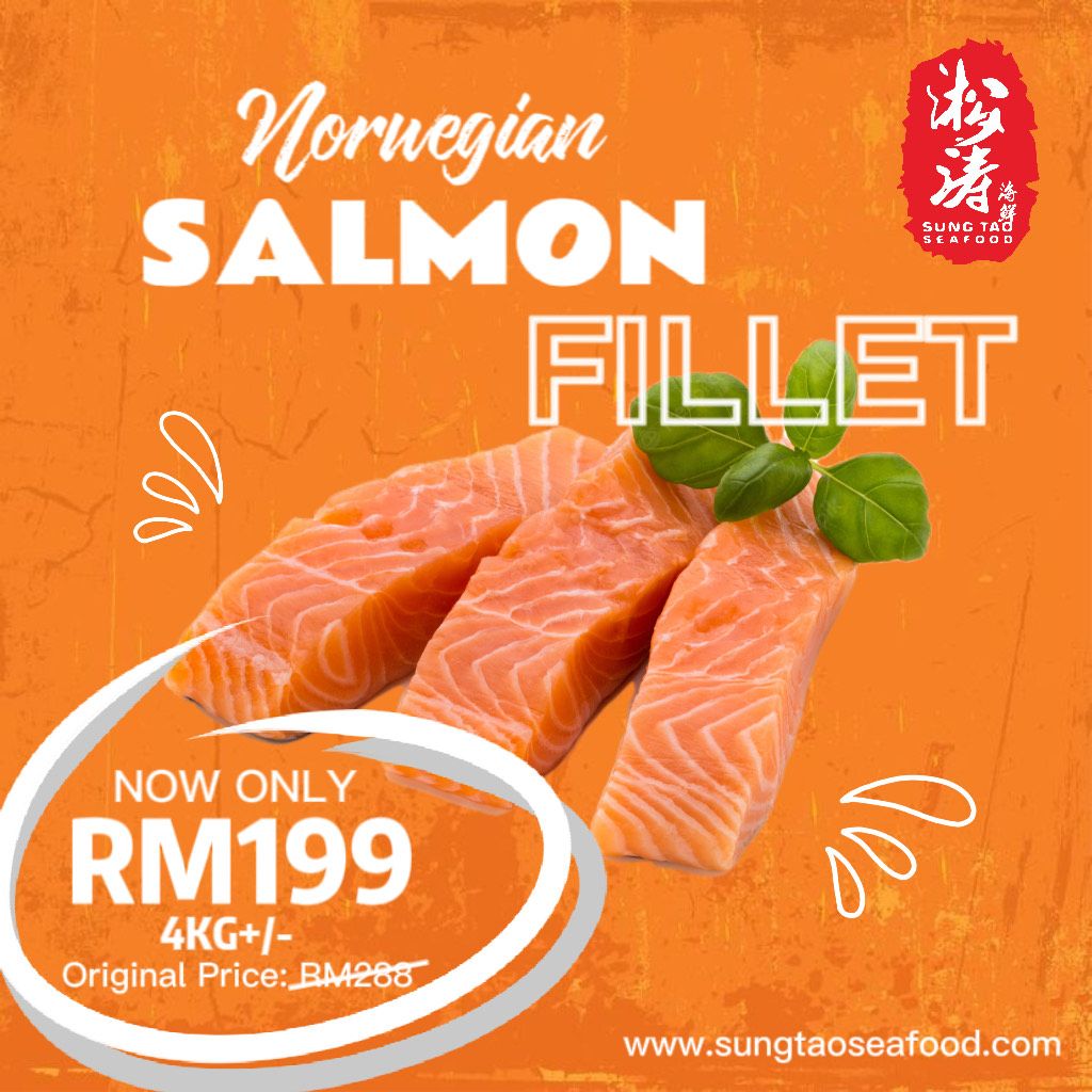 Norwegian Salmon Fillet 4KG+/ — HORECA Suppliers Supplybunny