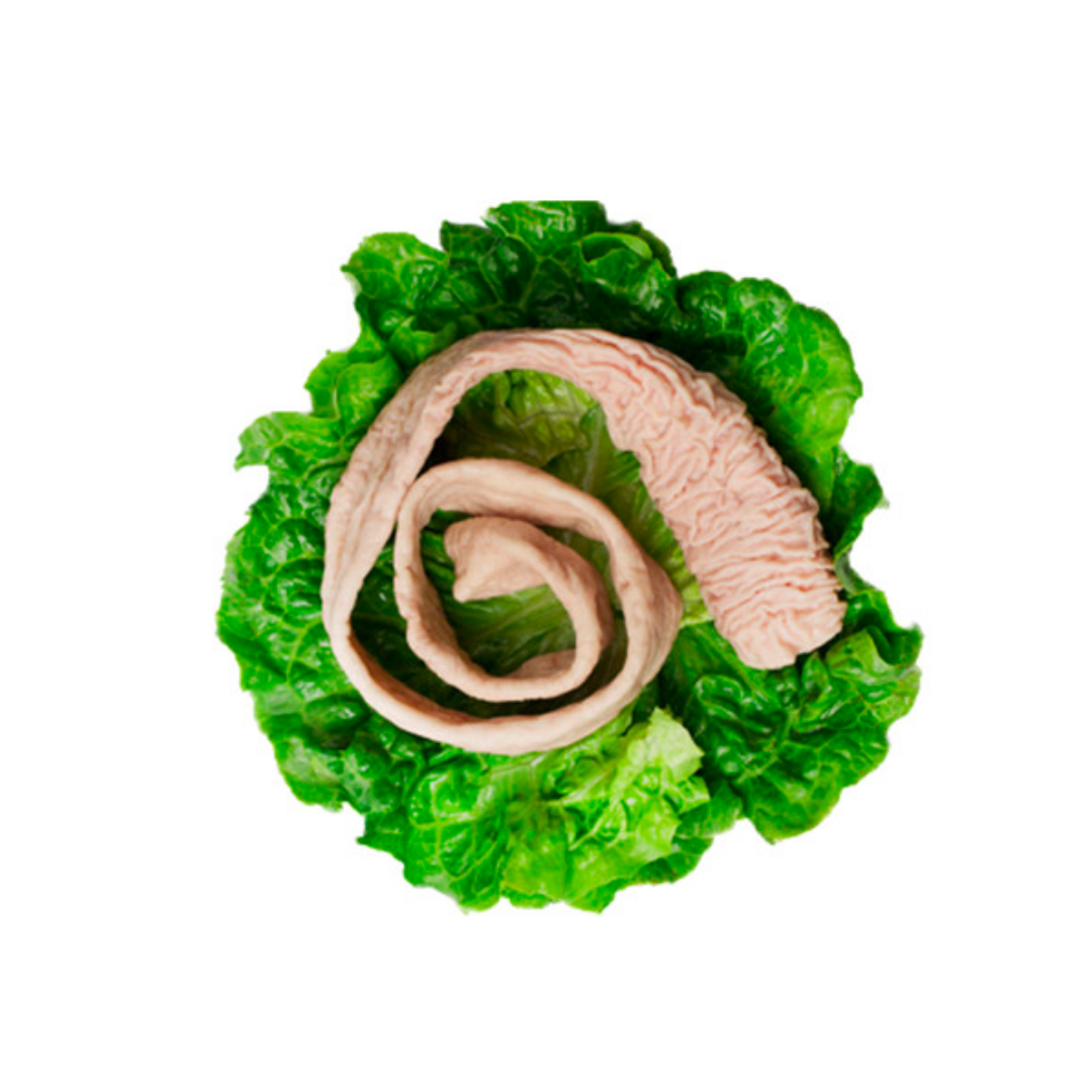 Large Intestine Head Pork 20kg (sold per carton) — HORECA Suppliers