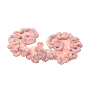 Image of Raw Pork Uteri Denmark - 10kg± (sold per carton) from Supplybunny.com