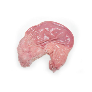Image of Raw Pork Stomach Australia - 15kg± (sold per carton) from Supplybunny.com