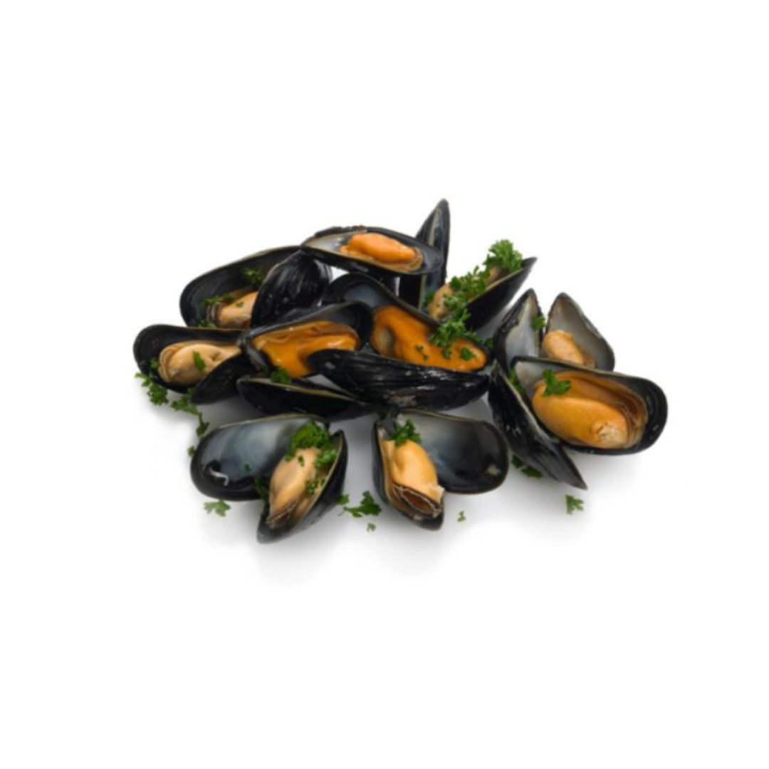 MUSSEL BLACK Fullshell 1kg NzFz (Sold per Pack) — HORECA Suppliers