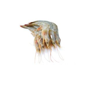 Image of PRAWN VANAMEI HOSO 41/50 10pkt (Sold per Carton) from Supplybunny.com