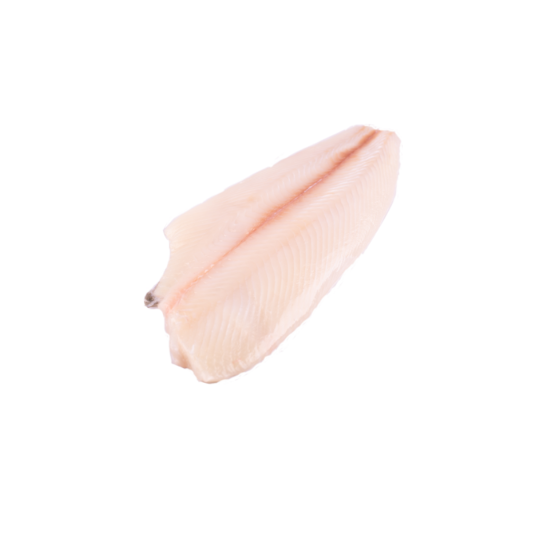 FISH FILLET HALIBUT 35kg/no (Sold per Kg) — HORECA Suppliers Supplybunny