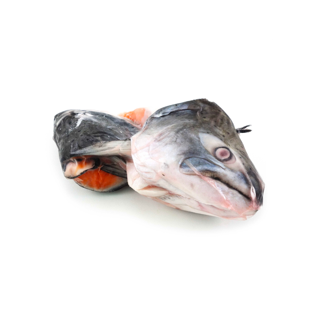 FISH HEAD SALMON KING Austrian Fz (Sold per Kg) — HORECA Suppliers