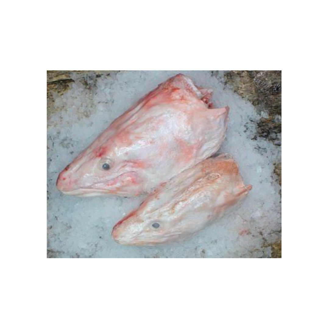 FISH HEAD LING PINK CLEAN -Nz Fz (Sold per Kg) — HORECA Suppliers