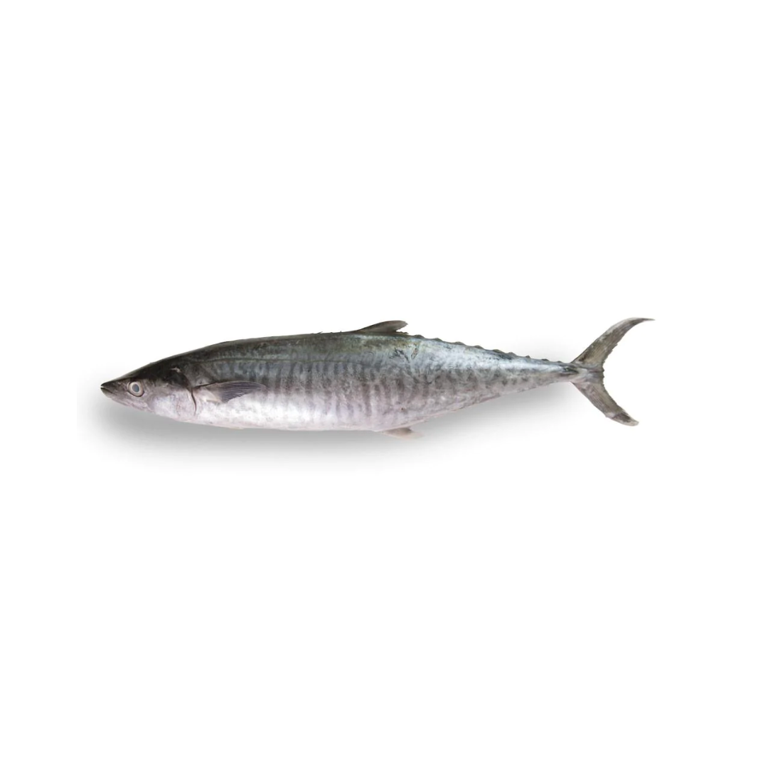 FISH TENGGIRI 300-500g x10kg (Sold per Carton) — HORECA Suppliers ...
