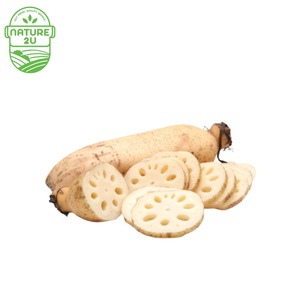 Image of Lotus Root Local (500G+-/PKT) from Supplybunny.com