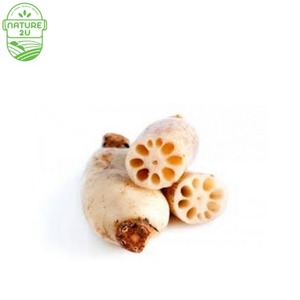 Image of Lotus Root China (2 PCS/PKT) from Supplybunny.com