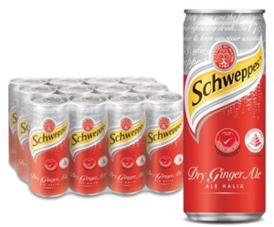 Image of Schweppes Ginger Ale 12 x 320ml (sold per carton) from Supplybunny.com
