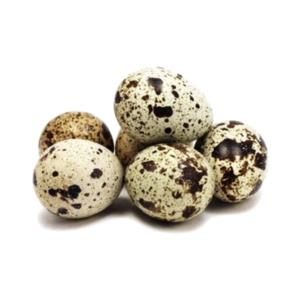 Image of Quail Eggs, Telur Puyuh 90nos/tray (sold per tray) - PREORDER from Supplybunny.com