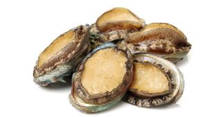 Image of Abalone 6pcs/can (sold per can) from Supplybunny.com