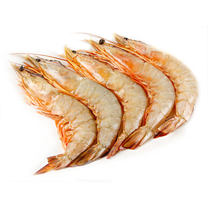 Image of Frozen White Prawn 51/60 Aa 1kg X Pkt from Supplybunny.com