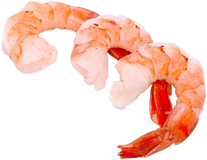 Image of Frozen Cooked Shrimp Size 40/50 1kg X Pkt from Supplybunny.com