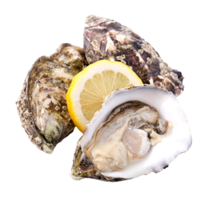 Image of Gallagher's Special Pacific Oyster 120-150g (sold per doz) from Supplybunny.com