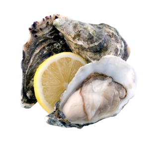 Image of Irish Premium No.1 Pacific Oyster 110g-130g (sold per doz) from Supplybunny.com