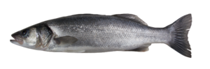 Image of Whole Seabass 300-400g± (sold per kg) from Supplybunny.com