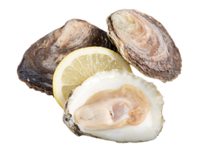 Image of Irish Premium Pacific Oyster 70-90g (sold per doz) from Supplybunny.com