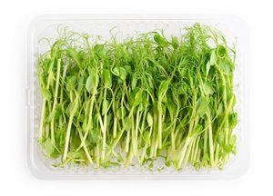 Image of Water Spinach (sold per unit) from Supplybunny.com