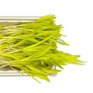 Image of Popcorn (sold per unit) from Supplybunny.com