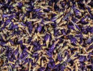 Image of Thai Butterfly Peas 100gm (sold per pack) from Supplybunny.com