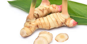 Image of Thai Lengkuas (sold per kg) from Supplybunny.com